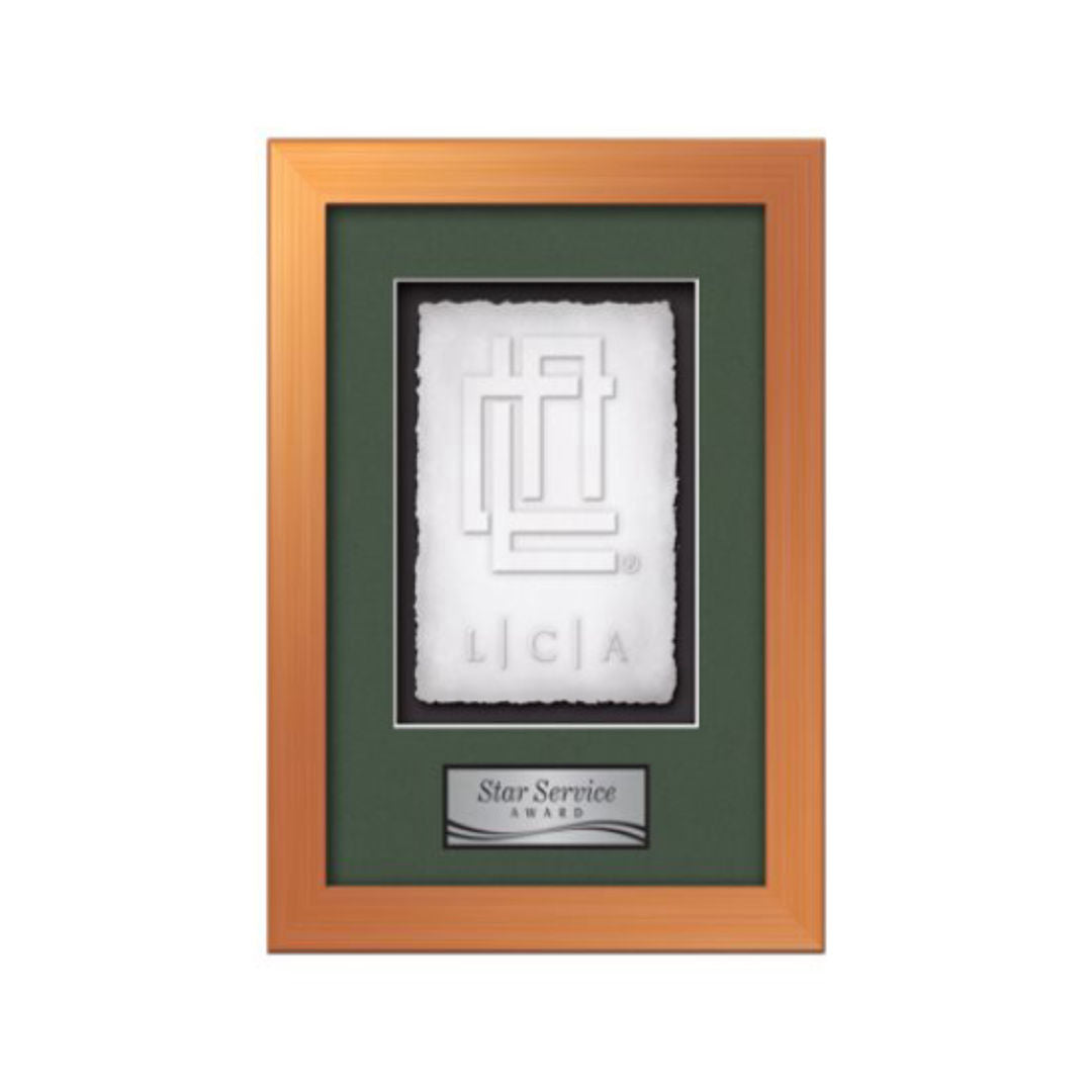 Eldridge Cast Paper Framed Award