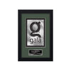 Primrose Aquashape Framed Award