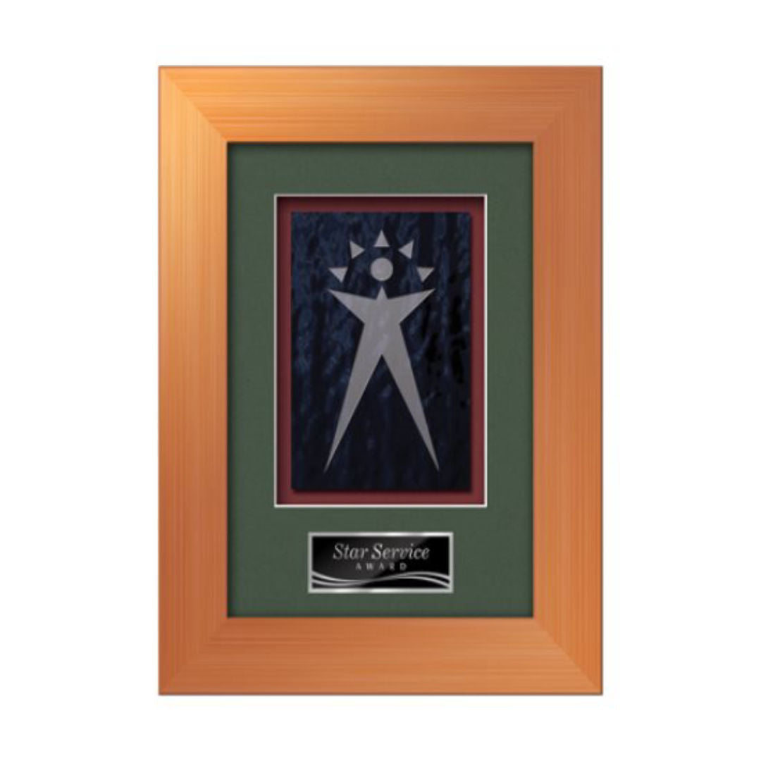Premier Framed Award