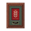 Terrene Framed Award