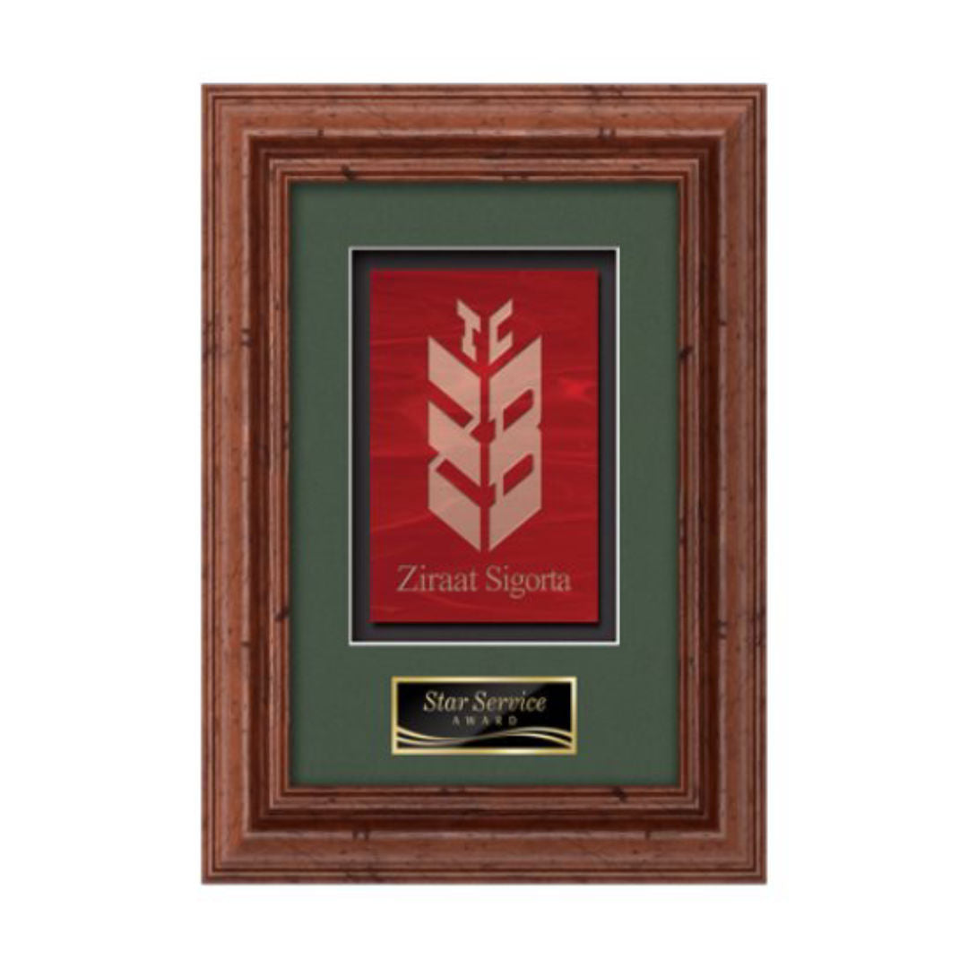 Terrene Framed Award