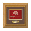 Terrene Framed Award