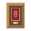 Terrene Framed Award