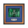 Jasper Framed Award