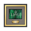 Jasper Framed Award