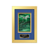Eldridge Stained Glass Framed Award