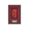 Fenestra Framed Award