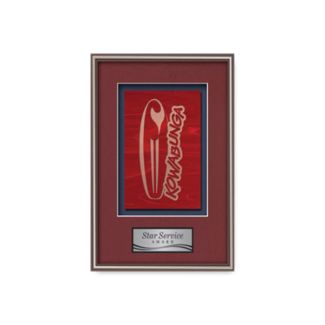 Fenestra Framed Award