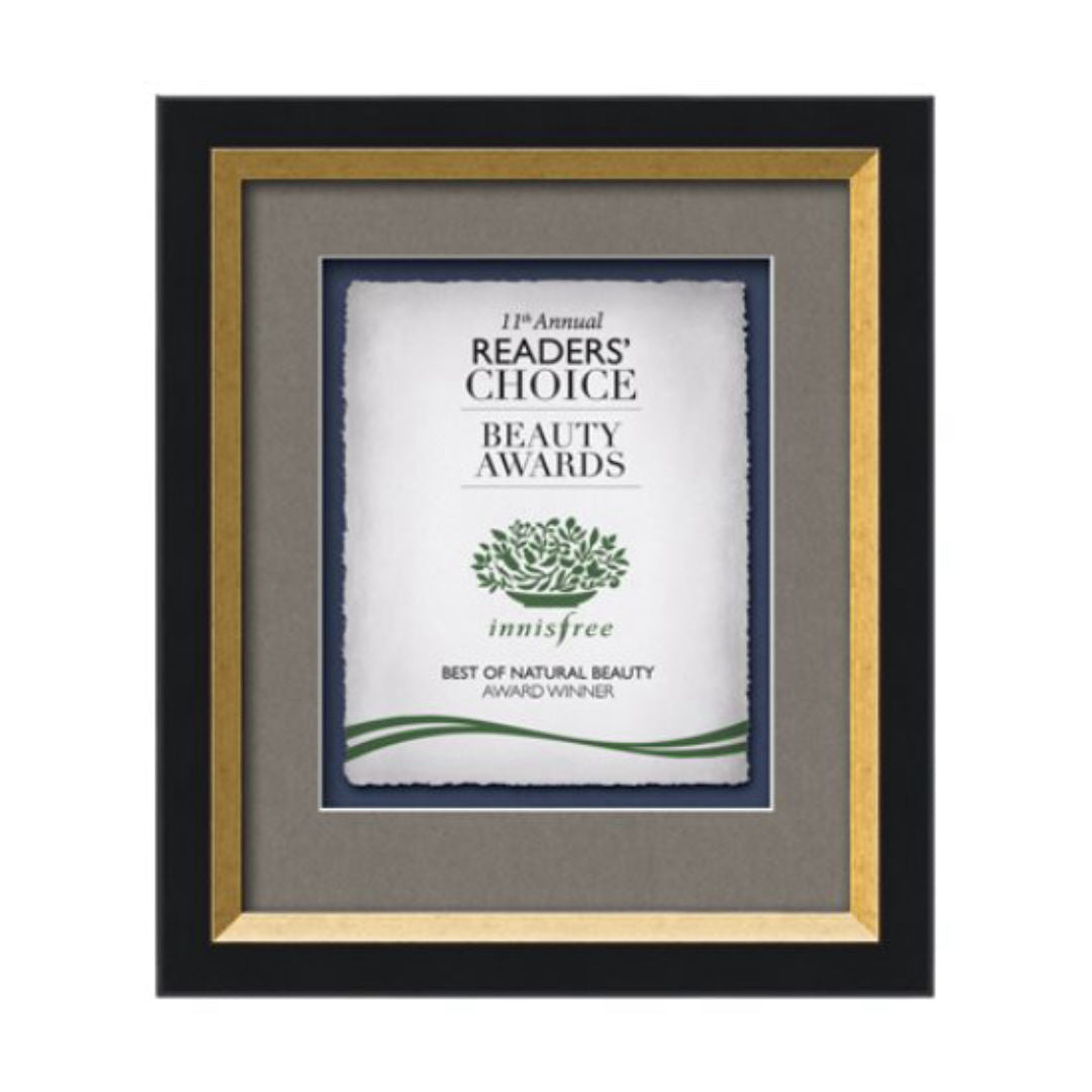 Omni Artisan Paper Certificate Framed Award