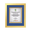 Eldridge Artisan Paper Certificate Framed Award