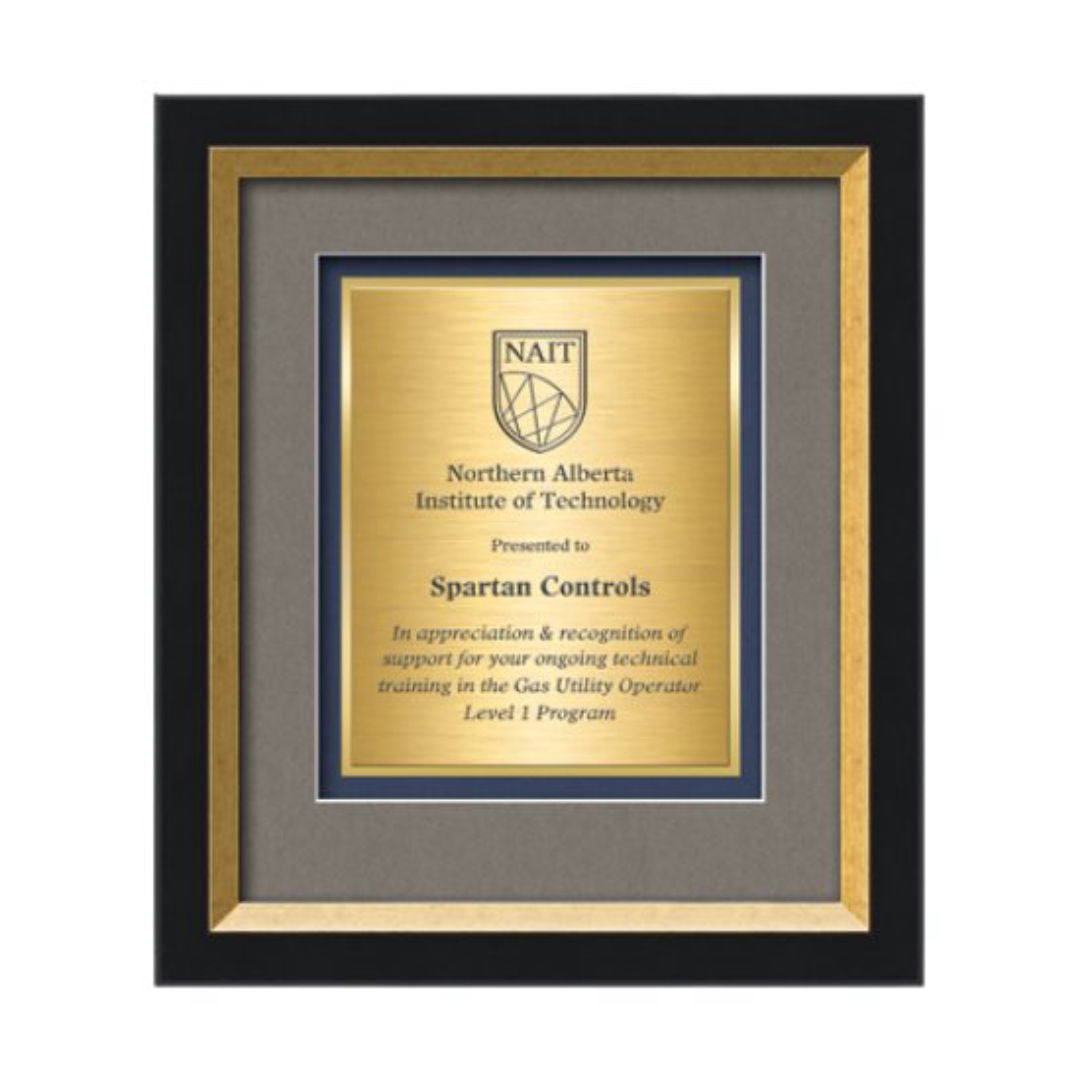 Omni Certificate TexEtch Framed Award