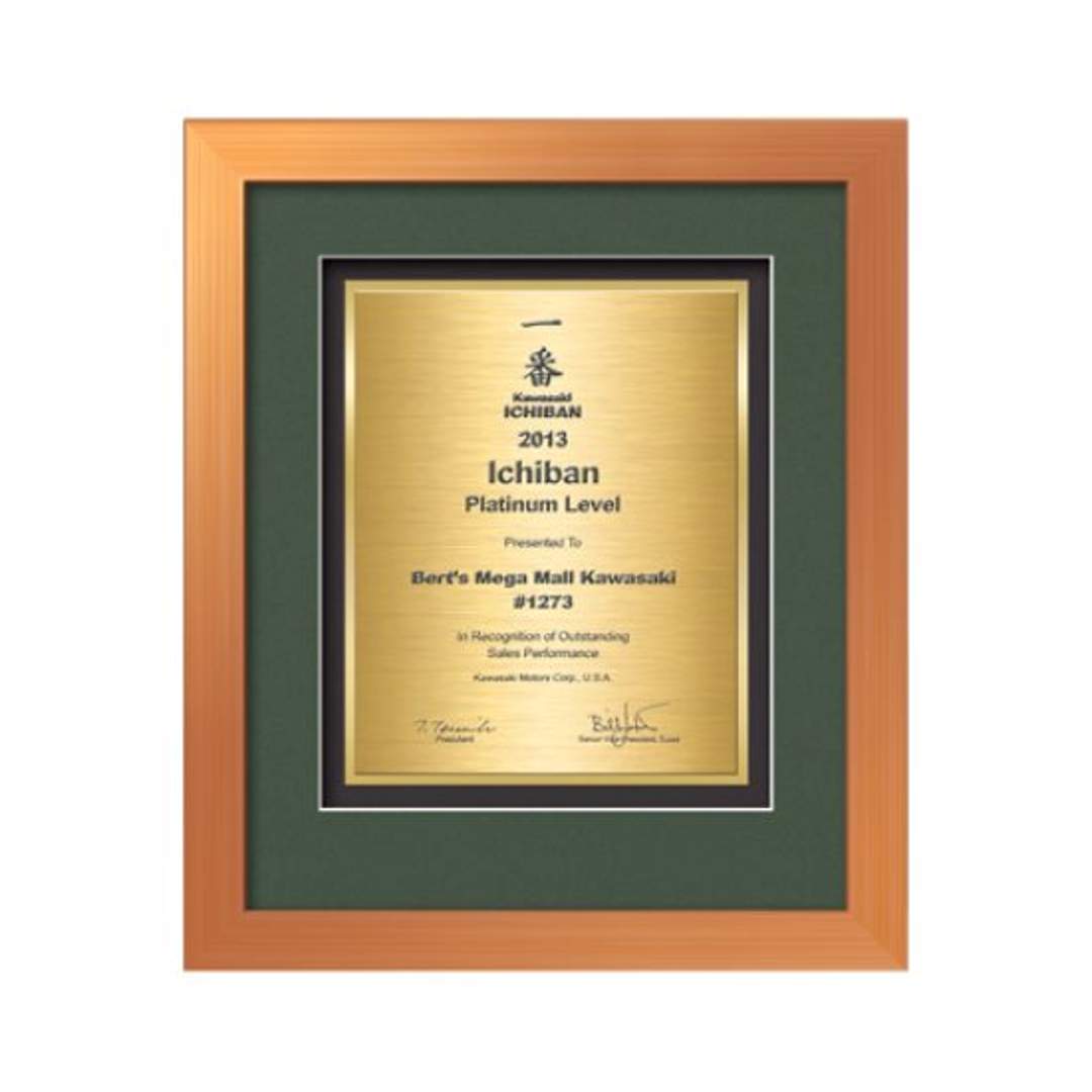 Eldridge Certificate TexEtch Framed Award