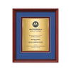 Raven Certificate TexEtch Framed Award