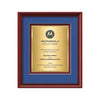 Raven Certificate TexEtch Framed Award