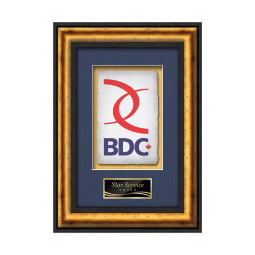 Grazia VividPrint™ Framed Award — Black/Gold