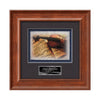Calder VividPrint Artisan Paper Framed Award