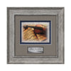 Calder VividPrint Artisan Paper Framed Award
