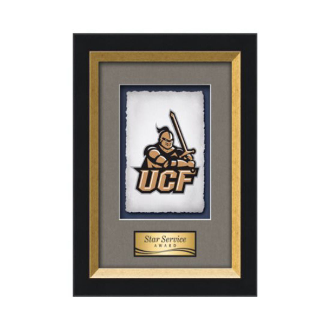 Omni VividPrint Artisan Paper Framed Award