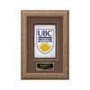 Romagna VividPrint™ Framed Award — Silver
