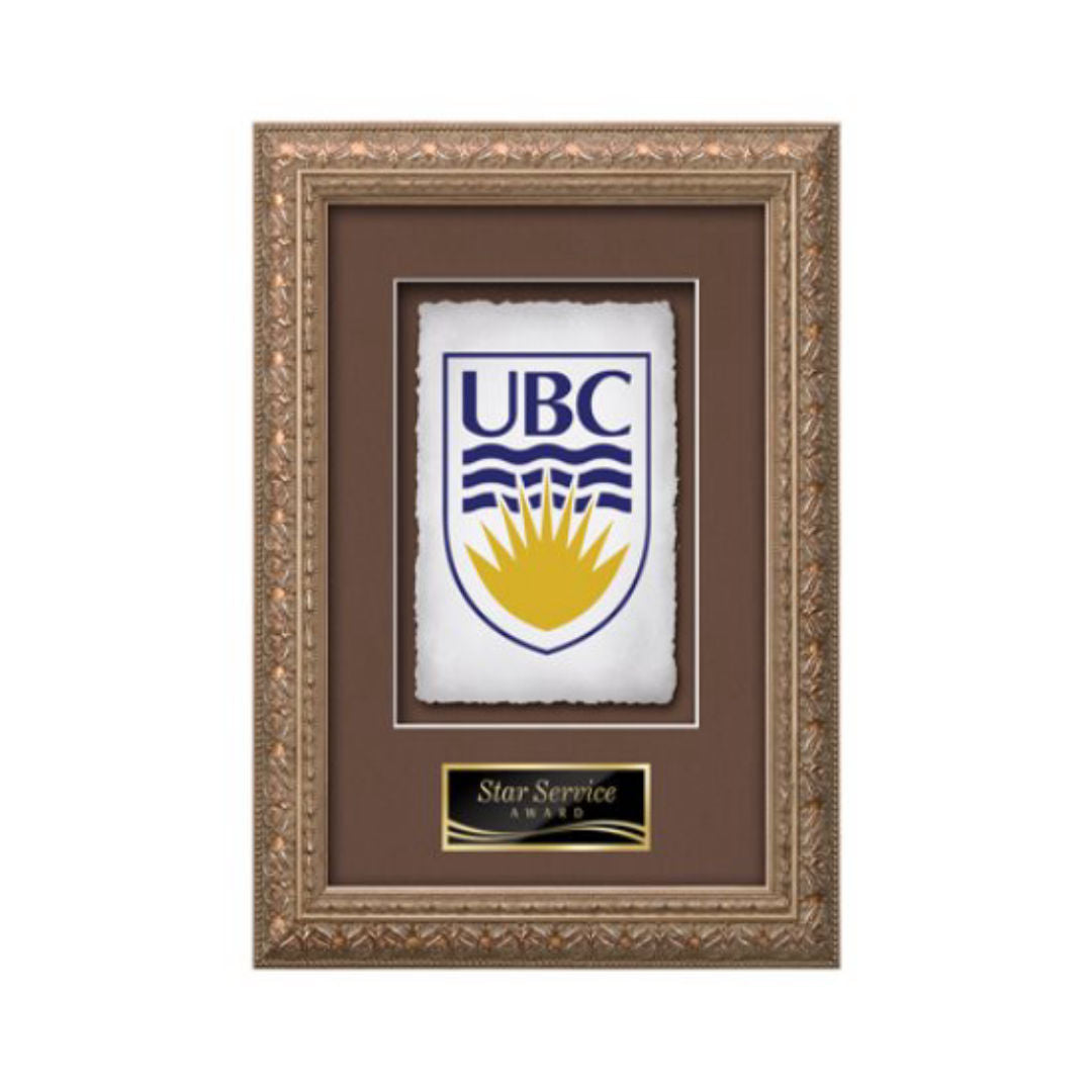 Romagna VividPrint™ Framed Award — Silver