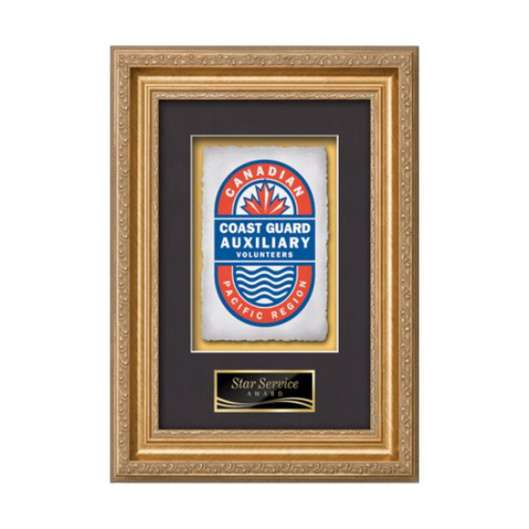 Regal VividPrint™ Framed Award — Gold