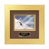 Premier VividPrint Metal Framed Award