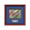 Raven VividPrint Metal Framed Award