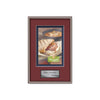 Fenestra VividPrint Metal Framed Award