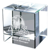 Crystal Cube Award