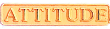 Gold Attitude Service